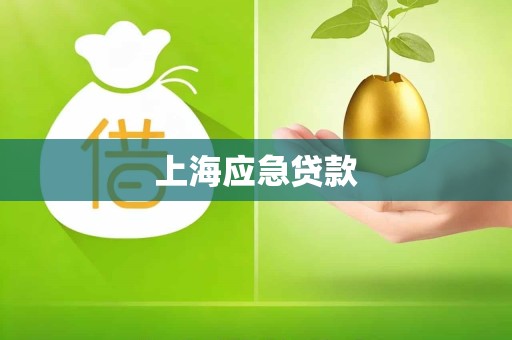 上海应急贷款