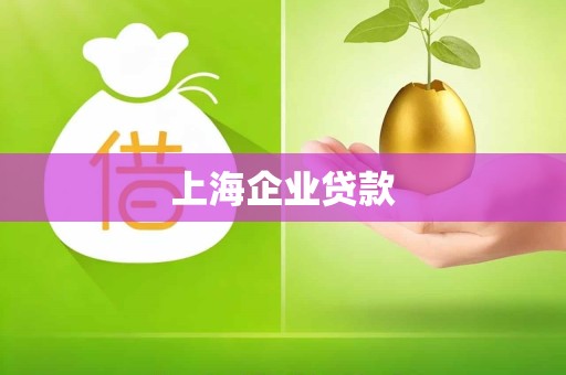 上海企业贷款